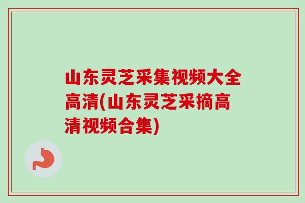 山东灵芝采集视频大全高清(山东灵芝采摘高清视频合集)