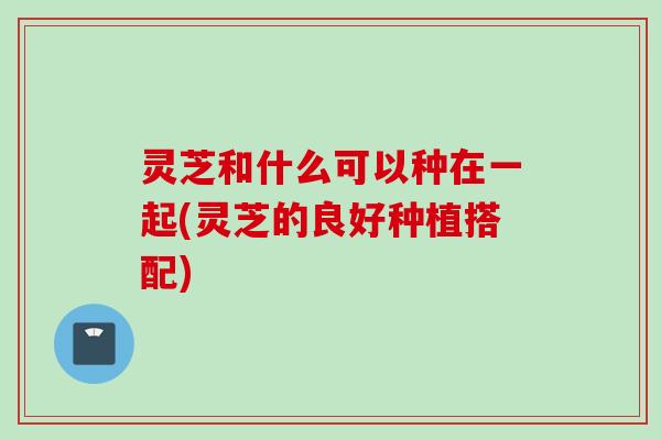 灵芝和什么可以种在一起(灵芝的良好种植搭配)