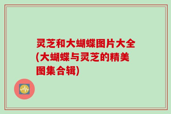 灵芝和大蝴蝶图片大全(大蝴蝶与灵芝的精美图集合辑)