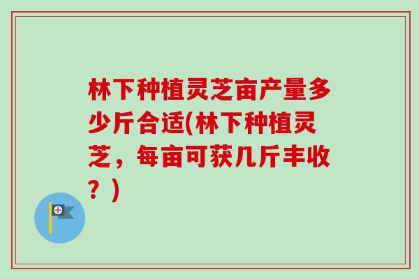 林下种植灵芝亩产量多少斤合适(林下种植灵芝，每亩可获几斤丰收？)