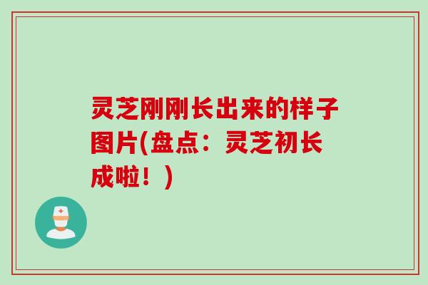 灵芝刚刚长出来的样子图片(盘点：灵芝初长成啦！)