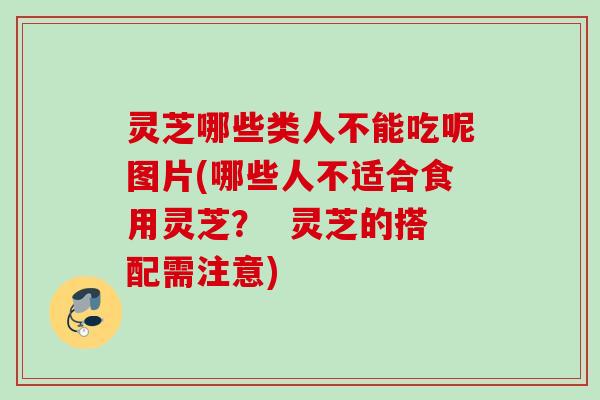 灵芝哪些类人不能吃呢图片(哪些人不适合食用灵芝？  灵芝的搭配需注意)