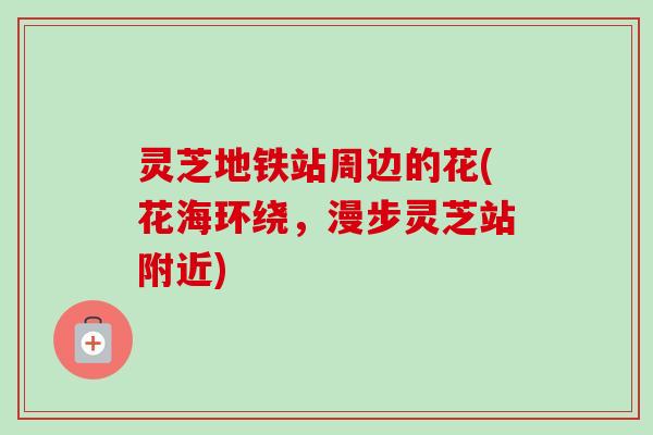 灵芝地铁站周边的花(花海环绕，漫步灵芝站附近)