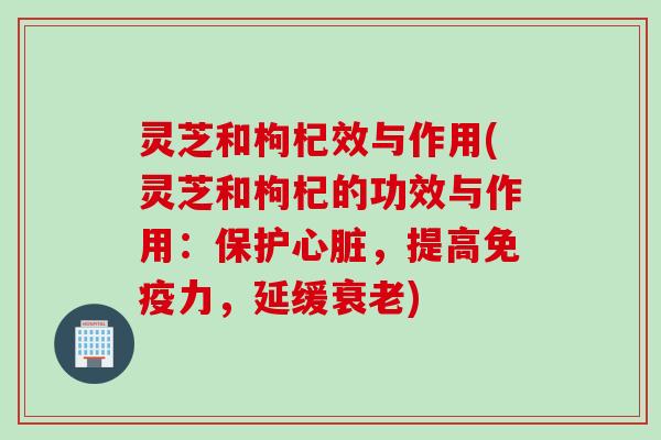 灵芝和枸杞效与作用(灵芝和枸杞的功效与作用：保护心脏，提高免疫力，延缓衰老)