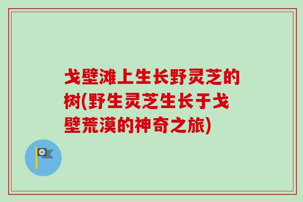 戈壁滩上生长野灵芝的树(野生灵芝生长于戈壁荒漠的神奇之旅)