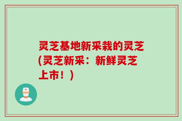 灵芝基地新采栽的灵芝(灵芝新采：新鲜灵芝上市！)