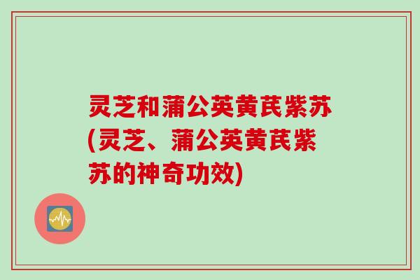 灵芝和蒲公英黄芪紫苏(灵芝、蒲公英黄芪紫苏的神奇功效)