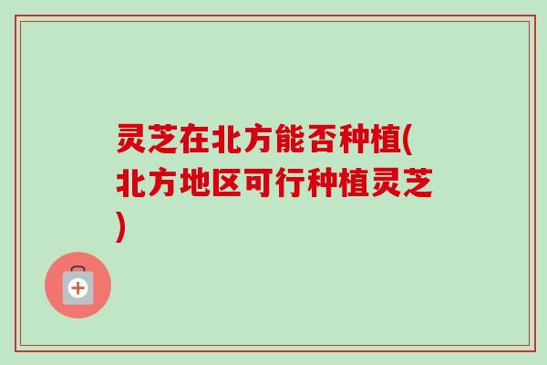 灵芝在北方能否种植(北方地区可行种植灵芝)