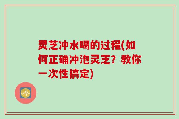 灵芝冲水喝的过程(如何正确冲泡灵芝？教你一次性搞定)