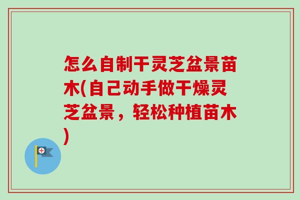 怎么自制干灵芝盆景苗木(自己动手做干燥灵芝盆景，轻松种植苗木)