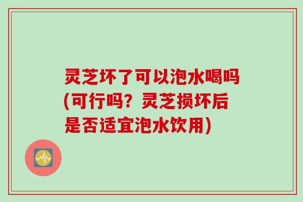 灵芝坏了可以泡水喝吗(可行吗？灵芝损坏后是否适宜泡水饮用)