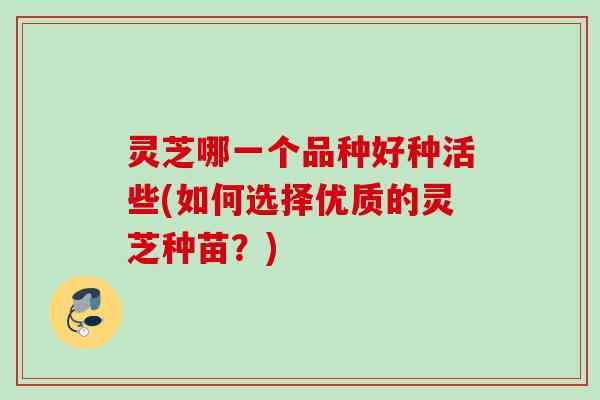 灵芝哪一个品种好种活些(如何选择优质的灵芝种苗？)
