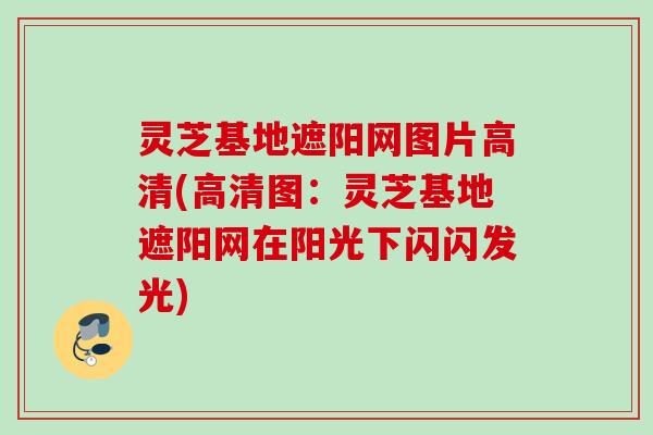 灵芝基地遮阳网图片高清(高清图：灵芝基地遮阳网在阳光下闪闪发光)