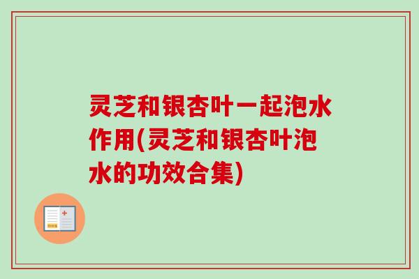 灵芝和银杏叶一起泡水作用(灵芝和银杏叶泡水的功效合集)