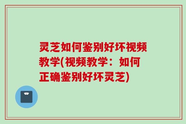 灵芝如何鉴别好坏视频教学(视频教学:如何正确鉴别好坏灵芝) 灵芝如何鉴别好坏视频教学(视频教学:如何正确鉴别好坏灵芝)