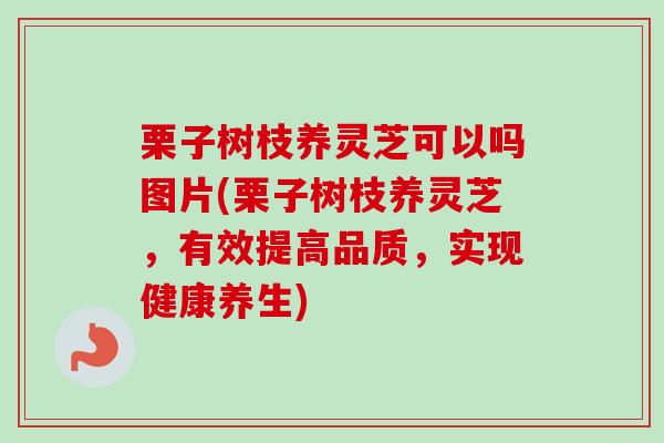 栗子树枝养灵芝可以吗图片(栗子树枝养灵芝，有效提高品质，实现健康养生)