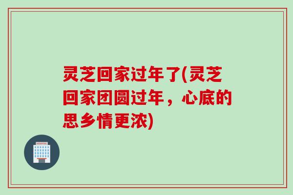 灵芝回家过年了(灵芝回家团圆过年，心底的思乡情更浓)