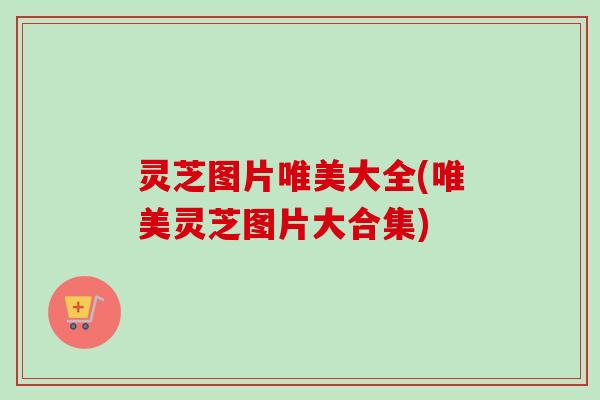 灵芝图片唯美大全(唯美灵芝图片大合集)