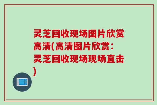 灵芝回收现场图片欣赏高清(高清图片欣赏:灵芝回收现场现场直击) 灵芝回收现场图片欣赏高清(高清图片欣赏:灵芝回收现场现场直击)