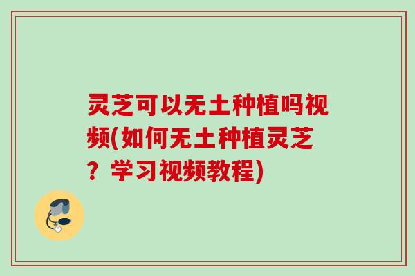 灵芝可以无土种植吗视频(如何无土种植灵芝？学习视频教程)
