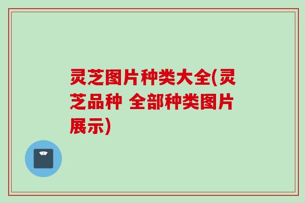 灵芝图片种类大全(灵芝品种 全部种类图片展示)