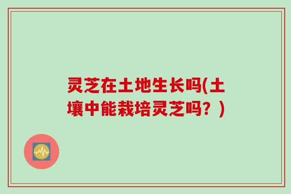 灵芝在土地生长吗(土壤中能栽培灵芝吗？)