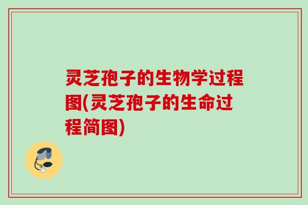 灵芝孢子的生物学过程图(灵芝孢子的生命过程简图)
