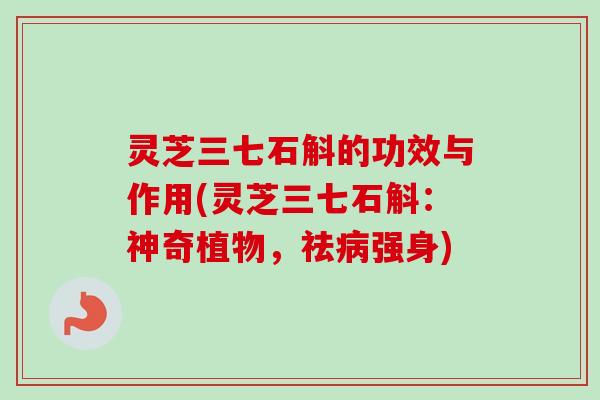 灵芝三七石斛的功效与作用(灵芝三七石斛:神奇植物,祛强身) 灵芝三七石斛的功效与作用(灵芝三七石斛:神奇植物,祛强身)