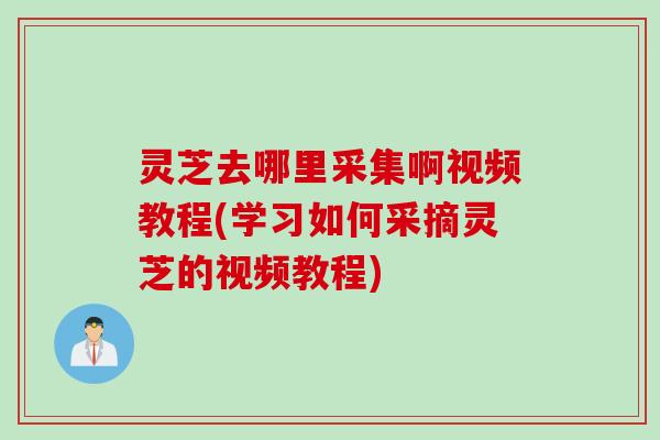灵芝去哪里采集啊视频教程(学习如何采摘灵芝的视频教程)
