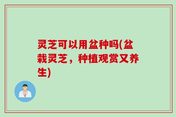 灵芝可以用盆种吗(盆栽灵芝，种植观赏又养生)
