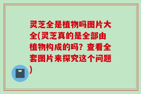 灵芝全是植物吗图片大全(灵芝真的是全部由植物构成的吗？查看全套图片来探究这个问题)