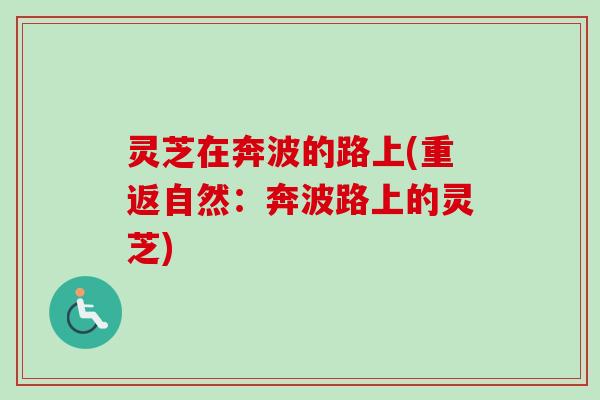 灵芝在奔波的路上(重返自然：奔波路上的灵芝)