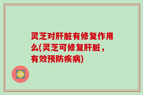灵芝对肝脏有修复作用么(灵芝可修复肝脏，有效预防疾病)
