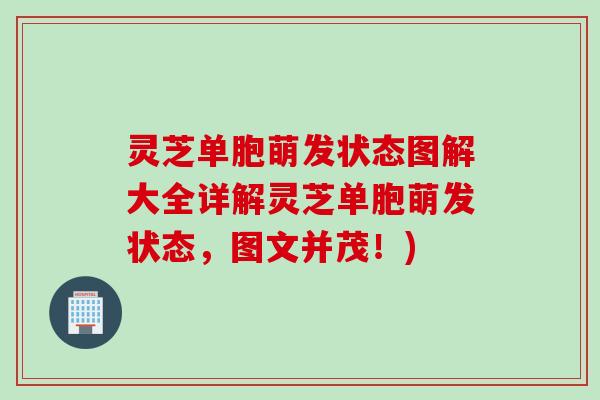 灵芝单胞萌发状态图解大全详解灵芝单胞萌发状态,图文并茂!) 灵芝单胞萌发状态图解大全详解灵芝单胞萌发状态,图文并茂!)