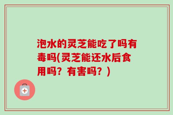 泡水的灵芝能吃了吗有毒吗(灵芝能还水后食用吗？有害吗？)