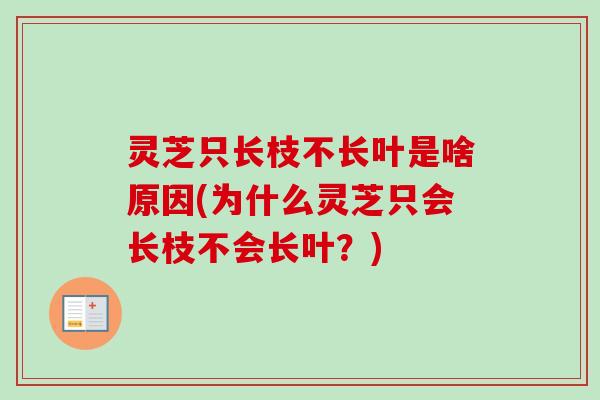 灵芝只长枝不长叶是啥原因(为什么灵芝只会长枝不会长叶？)