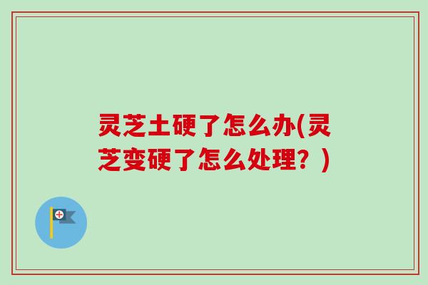 灵芝土硬了怎么办(灵芝变硬了怎么处理？)