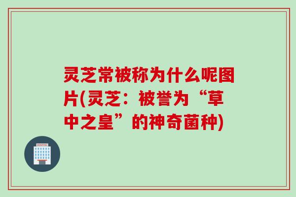 灵芝常被称为什么呢图片(灵芝：被誉为“草中之皇”的神奇菌种)