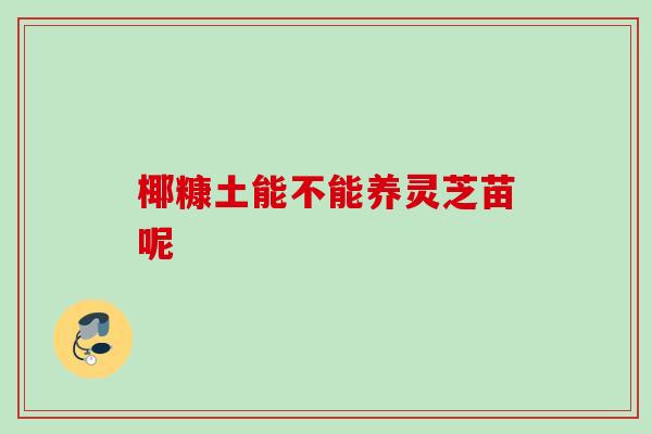 椰糠土能不能养灵芝苗呢