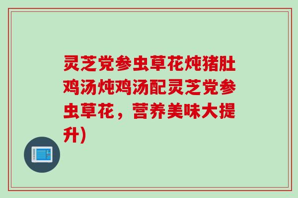 灵芝党参虫草花炖猪肚鸡汤炖鸡汤配灵芝党参虫草花,营养美味大提升) 灵芝党参虫草花炖猪肚鸡汤炖鸡汤配灵芝党参虫草花,营养美味大提升)