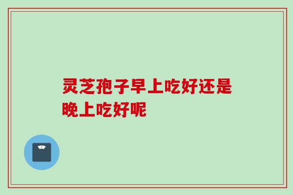 灵芝孢子早上吃好还是晚上吃好呢