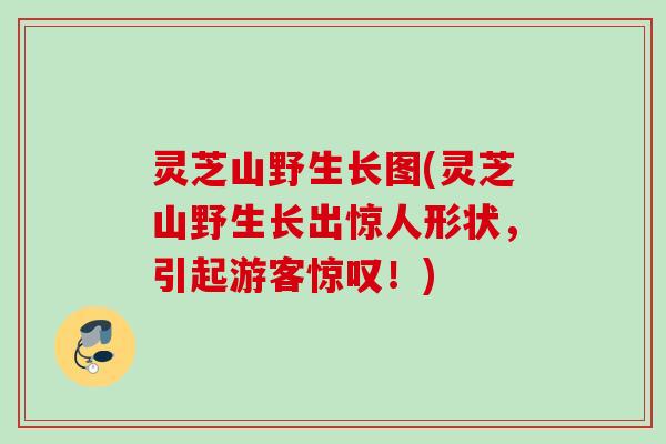 灵芝山野生长图(灵芝山野生长出惊人形状,引起游客惊叹!) 灵芝山野生长图(灵芝山野生长出惊人形状,引起游客惊叹!)
