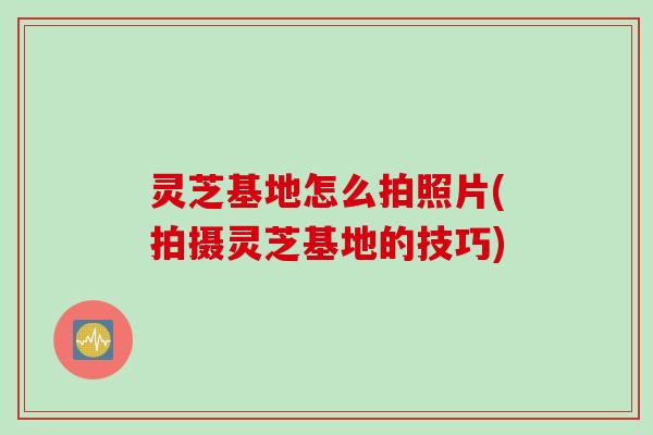 灵芝基地怎么拍照片(拍摄灵芝基地的技巧)