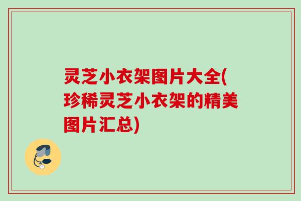 灵芝小衣架图片大全(珍稀灵芝小衣架的精美图片汇总)
