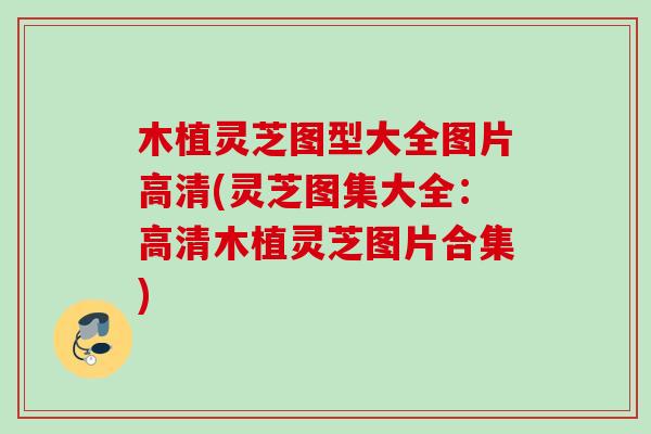 木植灵芝图型大全图片高清(灵芝图集大全:高清木植灵芝图片合集) 木植灵芝图型大全图片高清(灵芝图集大全:高清木植灵芝图片合集)