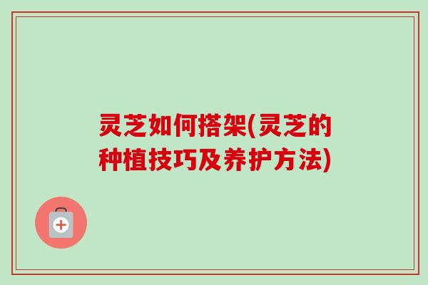 灵芝如何搭架(灵芝的种植技巧及养护方法)