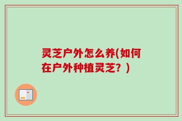 灵芝户外怎么养(如何在户外种植灵芝?) 灵芝户外怎么养(如何在户外种植灵芝?)