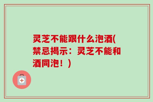灵芝不能跟什么泡酒(禁忌揭示：灵芝不能和酒同泡！)