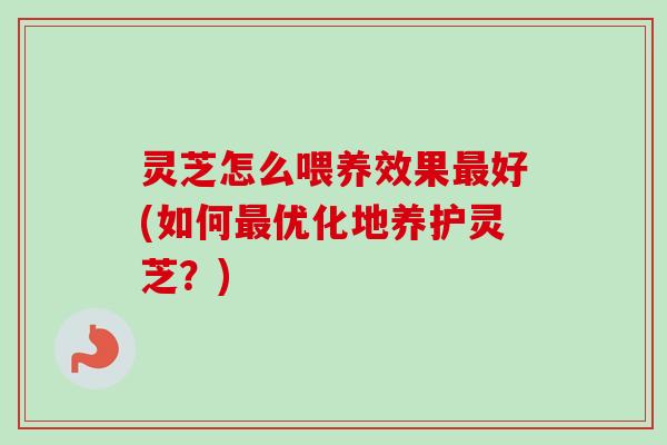 灵芝怎么喂养效果最好(如何最优化地养护灵芝？)