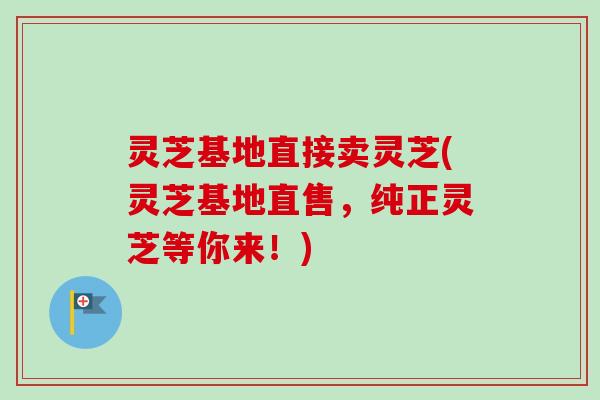 灵芝基地直接卖灵芝(灵芝基地直售，纯正灵芝等你来！)
